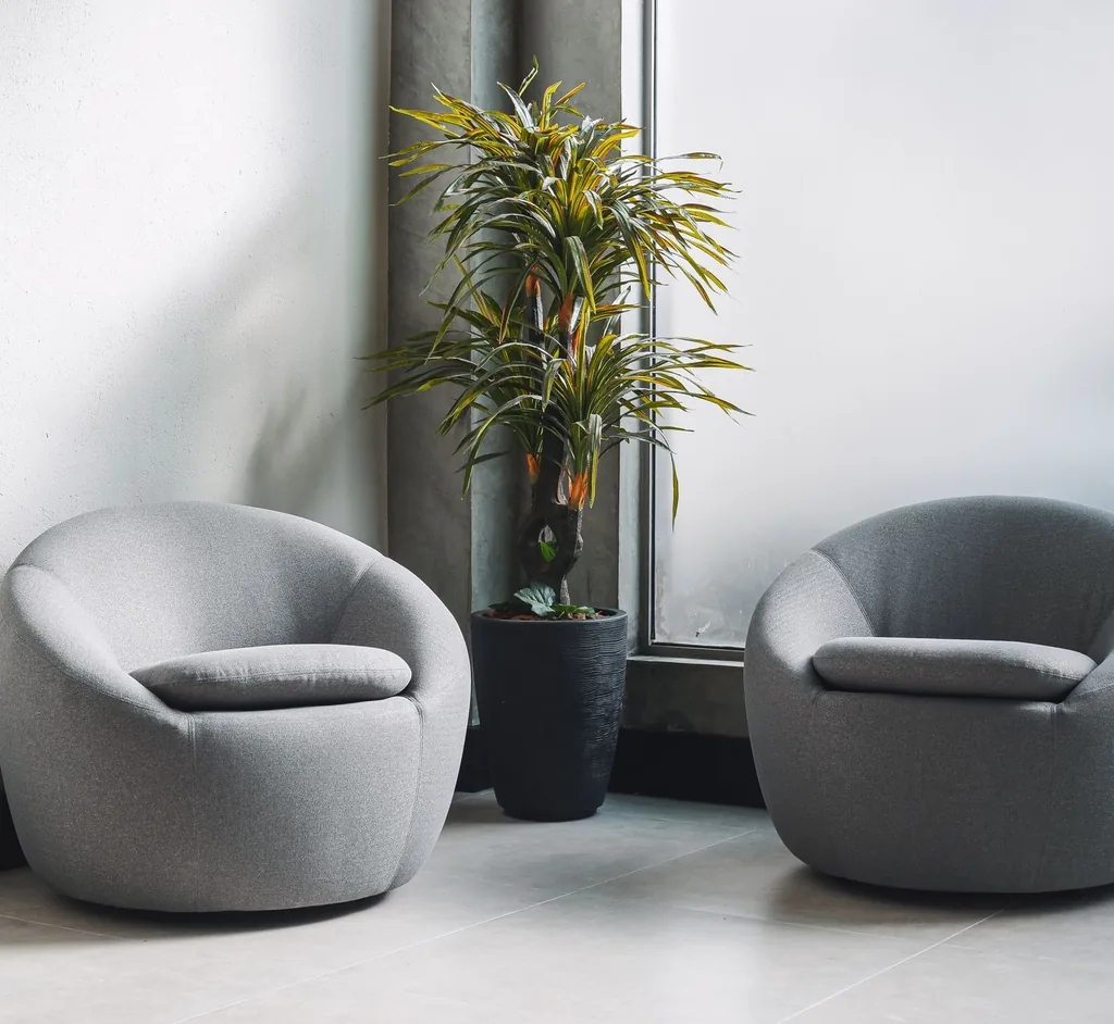 Two soft armchairs and a plant in a calm, uncluttered room