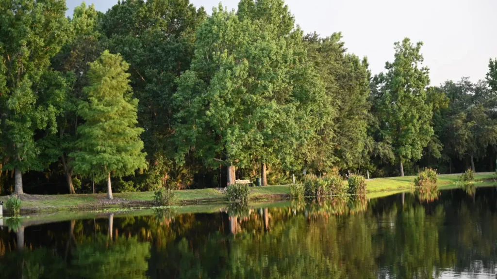 Counseling in Altamonte Springs, FL