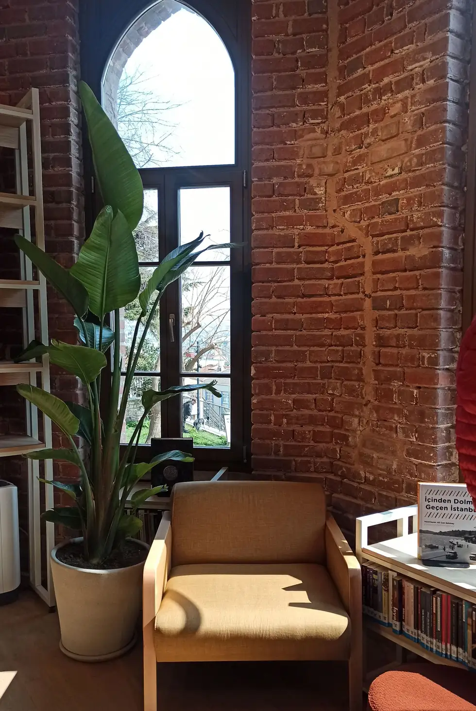 A comfortable reading corner with an armchair and a potted plant by a window