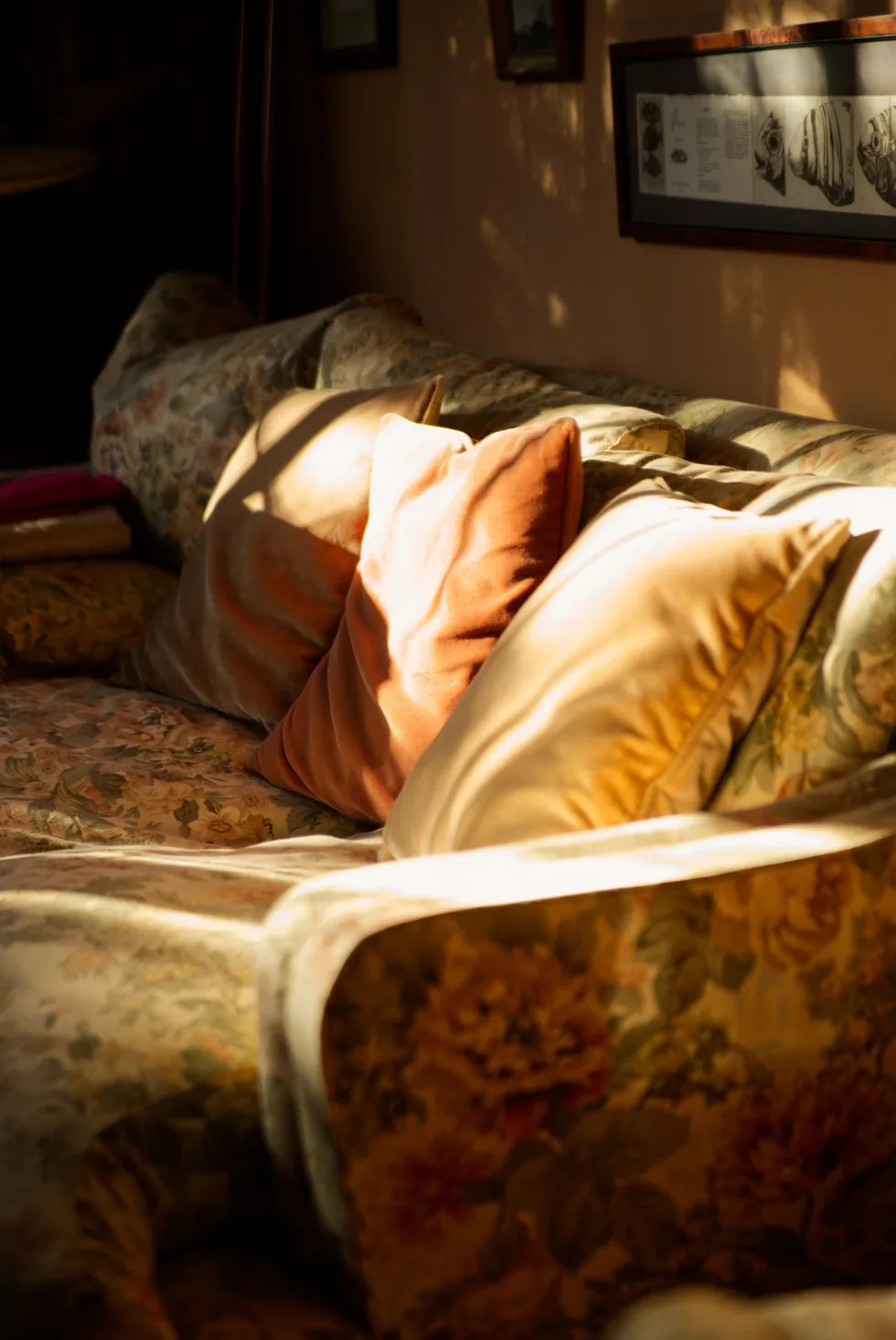 Sunlight falling across a sofa with cushions in a comfortable room