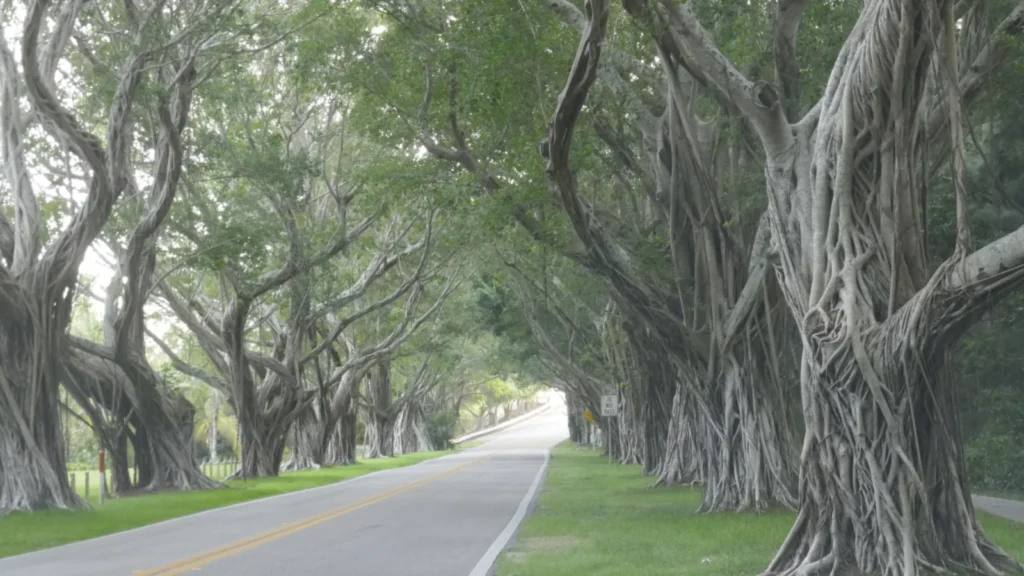 Counseling in Winter Park, FL