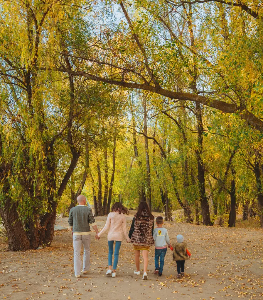 Family walking hand in hand along a tree-lined path together
