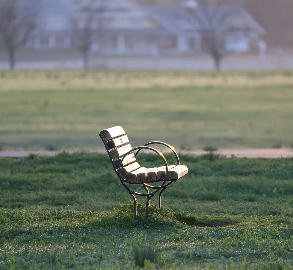 A solitary park bench in soft morning light in an open field