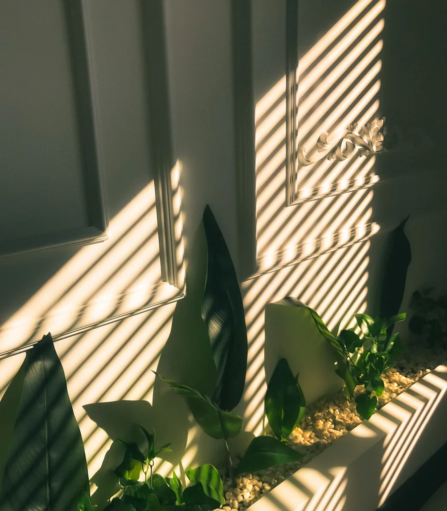 Soft light through shutters falling across indoor plants