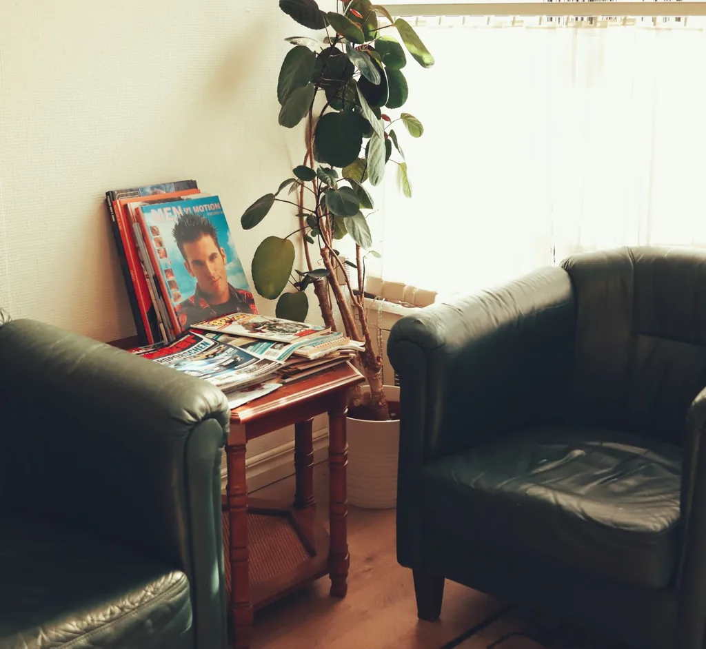 A bright, calm room with comfortable chairs and natural light