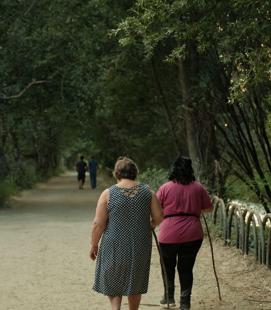Two women walking together along a tree-lined park path