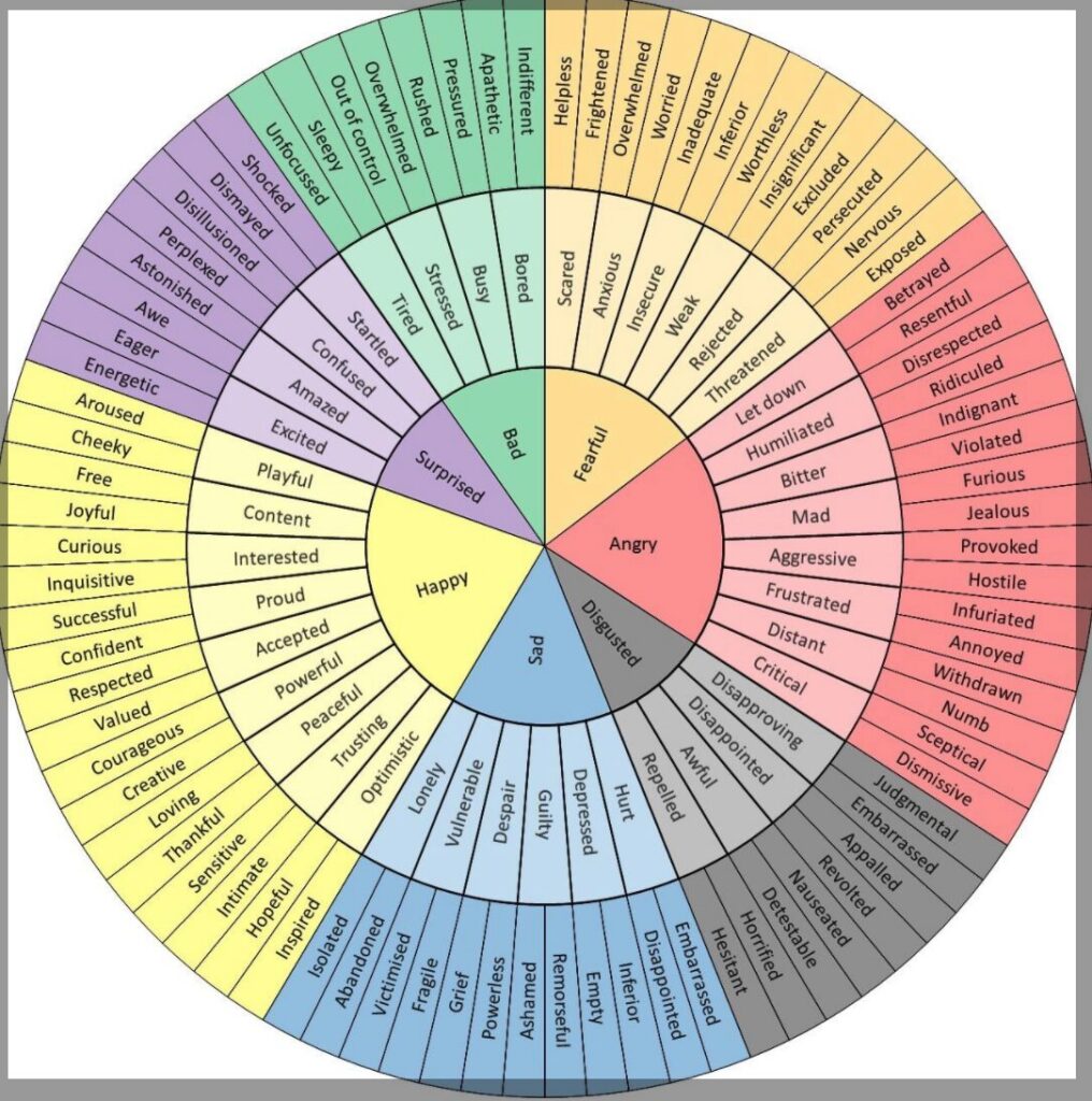A feelings wheel with core emotions such as happy, sad, angry and fearful branching into more specific feelings